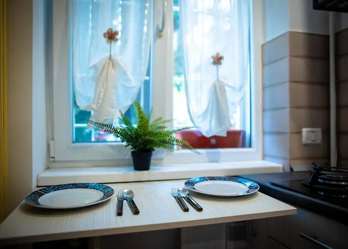 Place In Drumul Taberei